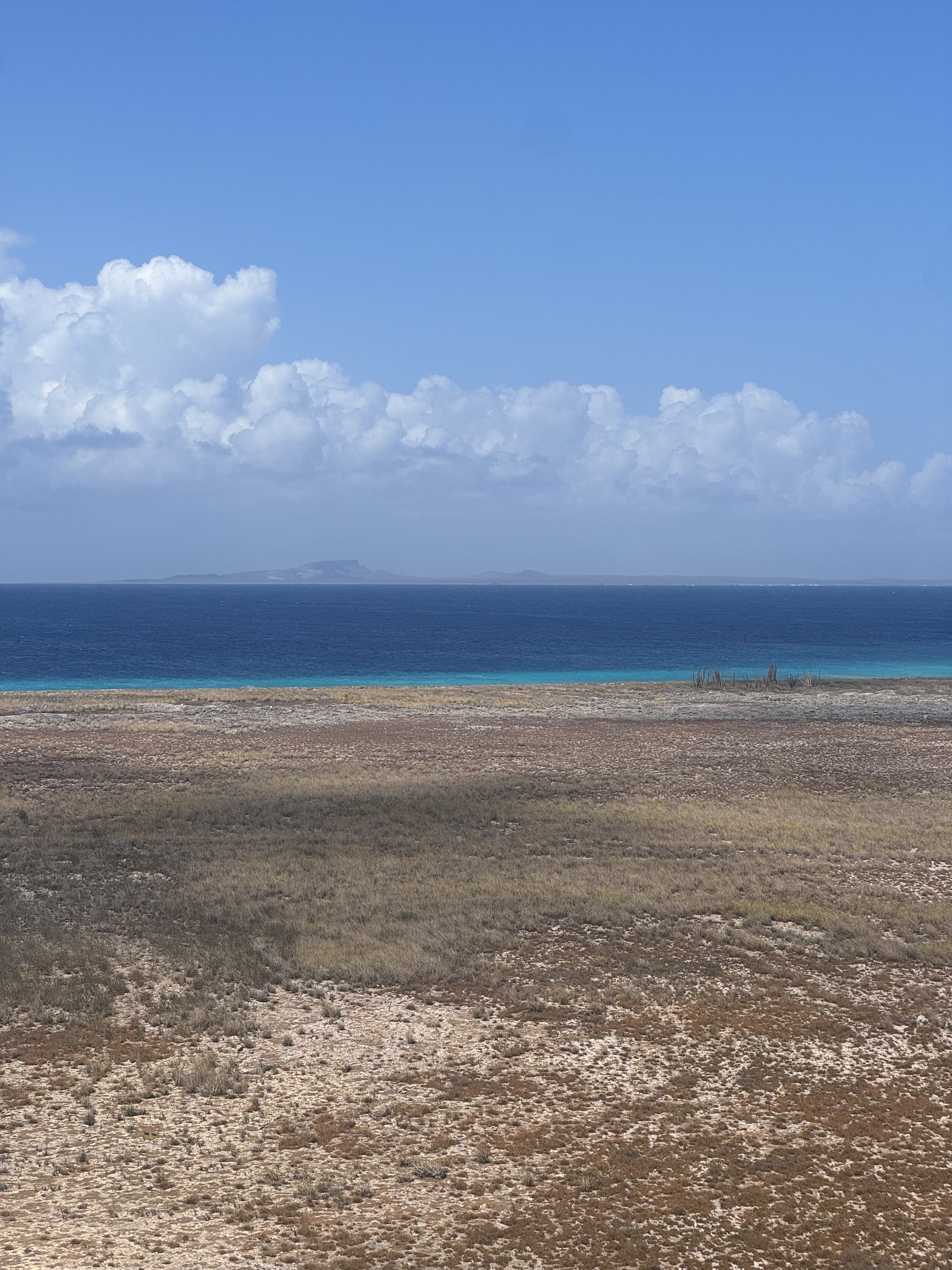 Klein Curaçao landschap met oceaan